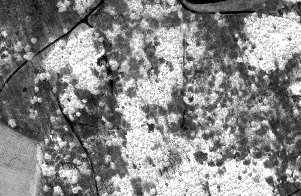 NDVI Bsp. 3